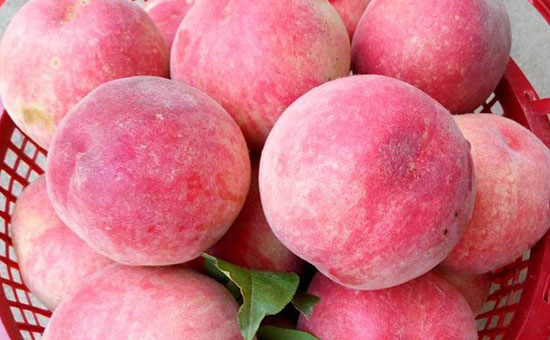 �и����Գ������� ��������ʲô�ô�